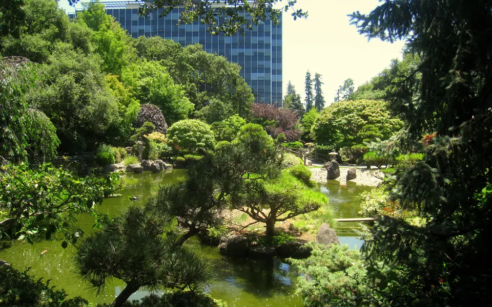 Japanese Tea Garden in Central Park, San Mateo, California